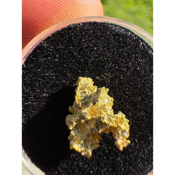 California Native Gold Crystal - 0.80 grams - Picture 7 of 7